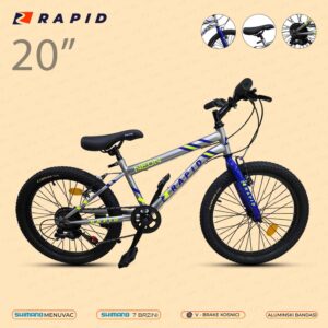 29681 - VELOSIPED 20 RAPID NEON SILVER